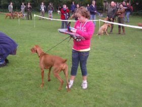 Bad Pyrmond kcm 08 034.jpg